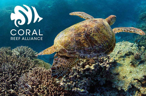 Coral Reef Alliance - Saving the World's Coral Reefs